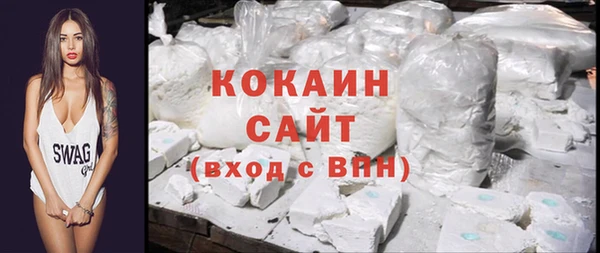 стаф Богданович