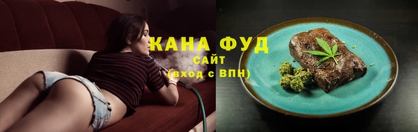 стаф Богданович