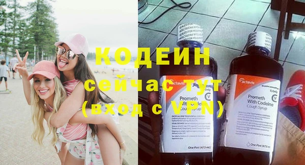 стаф Богданович