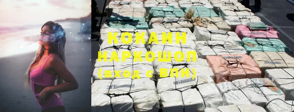 стаф Богданович
