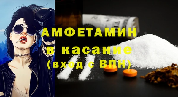 стаф Богданович